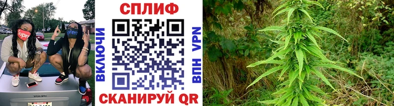 Как найти наркотики Северодвинск ГАШ  МАРИХУАНА  АМФЕТАМИН  Меф  КОКАИН  Alpha PVP 