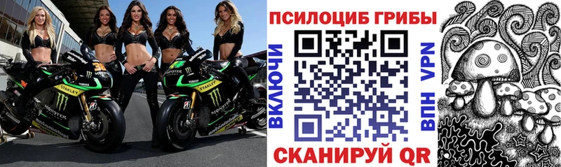 Галлюциногенные грибы прущие грибы кракен вход Северодвинск