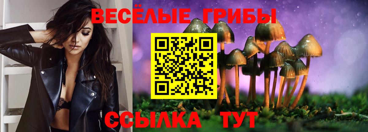 Галлюциногенные грибы MAGIC MUSHROOMS Северодвинск