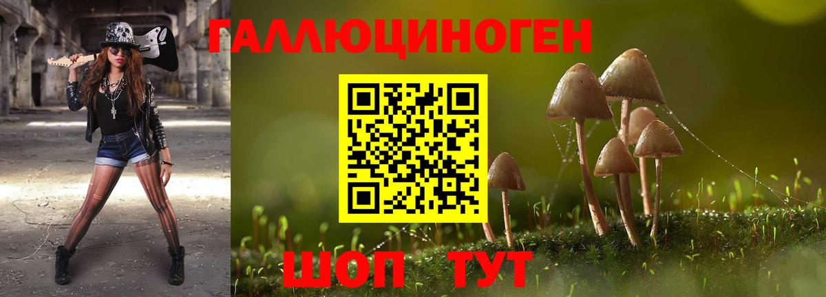 Северодвинск  Псилоцибиновые грибы Psilocybine cubensis  Вход с VPN 